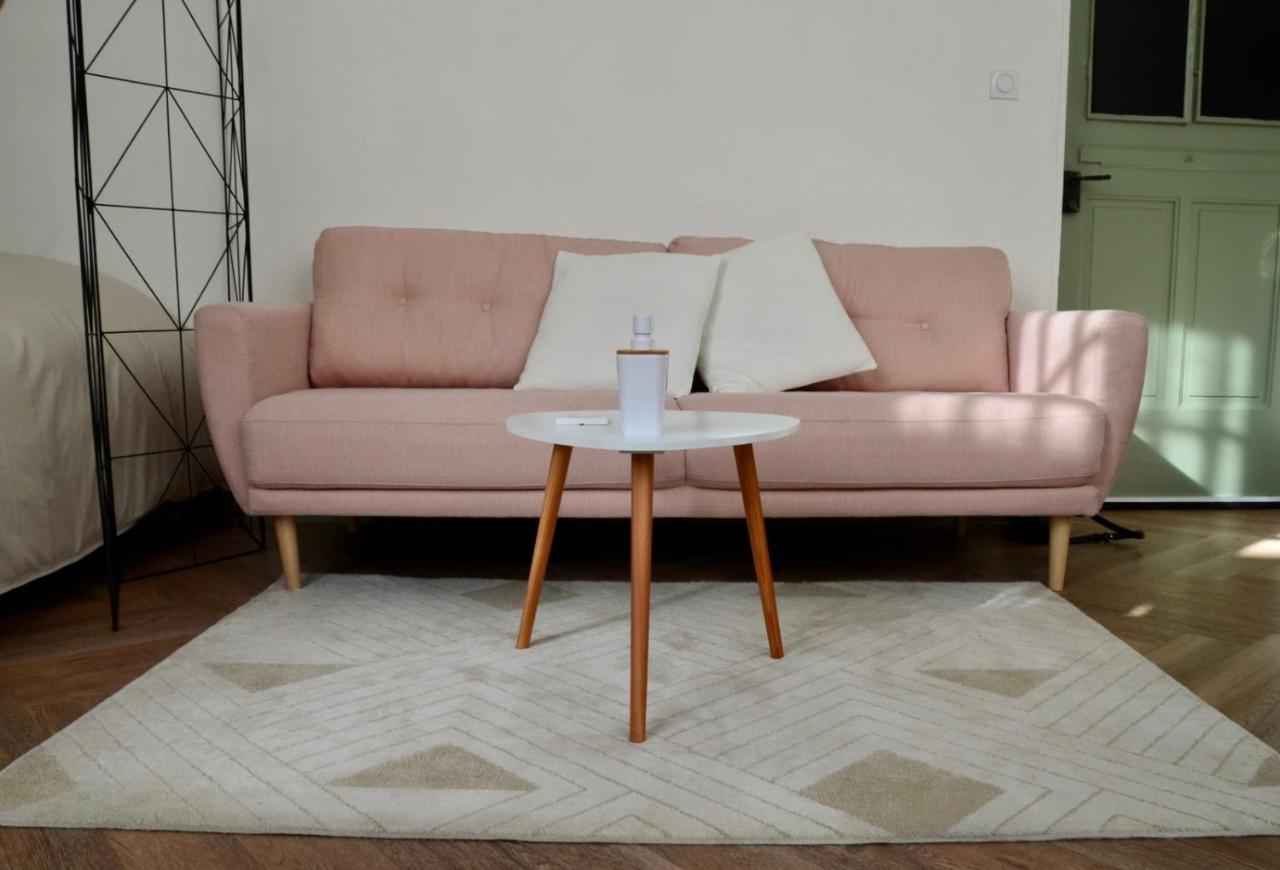 Le Souplex Des Ducs Appartamento Digione Esterno foto