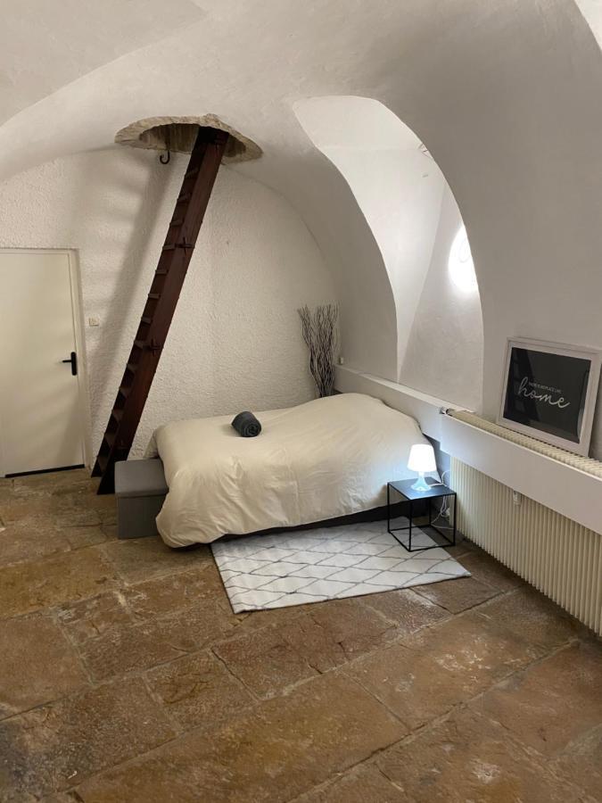 Le Souplex Des Ducs Appartamento Digione Esterno foto